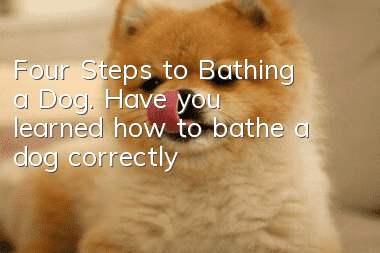 Four Steps to Bathing a Dog. Have you learned how to bathe a dog correctly?