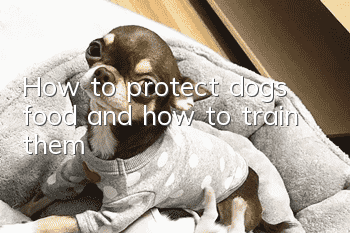 How to protect dogs’ food and how to train them