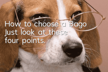 How to choose a Bago? Just look at these four points.