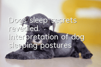 Dogs’ sleep secrets revealed. Interpretation of dog sleeping postures
