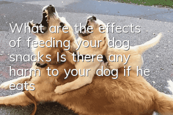 What are the effects of feeding your dog snacks? Is there any harm to your dog if he eats too many snacks?