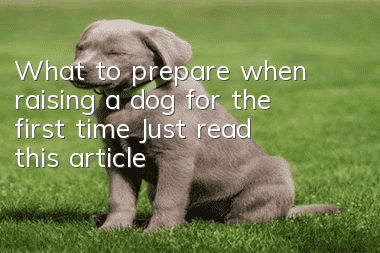 What to prepare when raising a dog for the first time? Just read this article