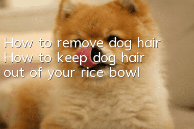 How to remove dog hair How to keep dog hair out of your rice bowl