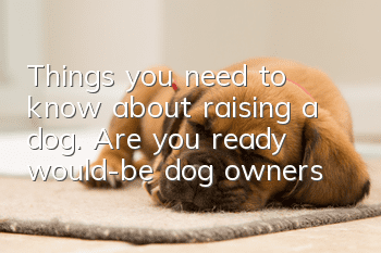 Things you need to know about raising a dog. Are you ready, would-be dog owners?