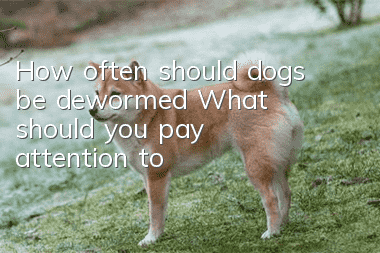 How often should dogs be dewormed? What should you pay attention to?