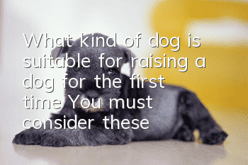 What kind of dog is suitable for raising a dog for the first time? You must consider these questions