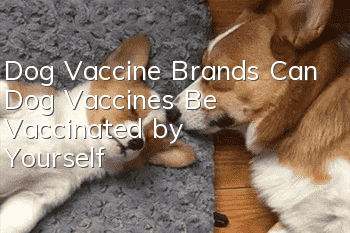 Dog Vaccine Brands Can Dog Vaccines Be Vaccinated by Yourself?