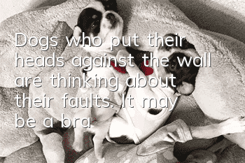 Dogs who put their heads against the wall are thinking about their faults. It may be a brain disease.