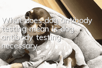 What does dog antibody testing mean? Is dog antibody testing necessary?