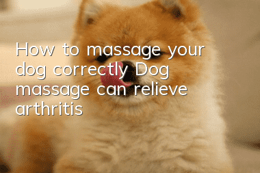How to massage your dog correctly? Dog massage can relieve arthritis