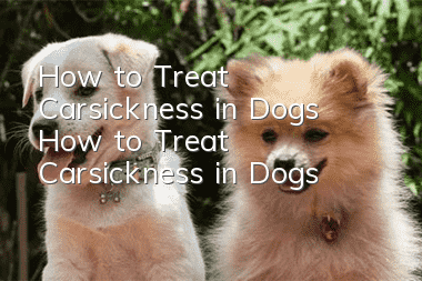 How to Treat Carsickness in Dogs How to Treat Carsickness in Dogs