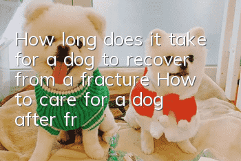 How long does it take for a dog to recover from a fracture? How to care for a dog after fracture surgery