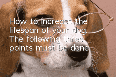 How to increase the lifespan of your dog. The following three points must be done: