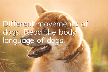 Different movements of dogs. Read the body language of dogs.