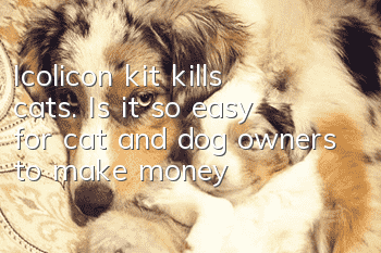 Icolicon kit kills cats. Is it so easy for cat and dog owners to make money?