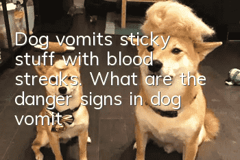 Dog vomits sticky stuff with blood streaks. What are the danger signs in dog vomit?