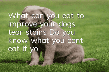 What can you eat to improve your dog’s tear stains? Do you know what you can’t eat if your dog has tear stains?