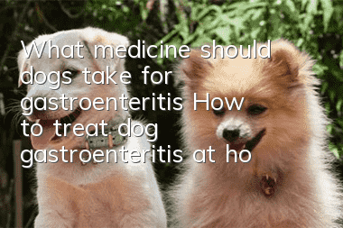 What medicine should dogs take for gastroenteritis? How to treat dog gastroenteritis at home?