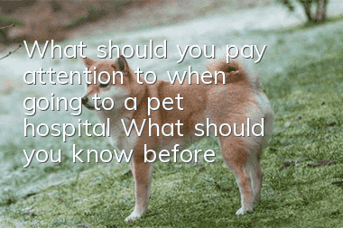 What should you pay attention to when going to a pet hospital? What should you know before going to a pet hospital?