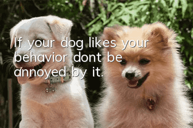 If your dog likes your behavior, don’t be annoyed by it.