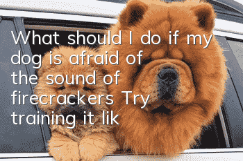 What should I do if my dog is afraid of the sound of firecrackers? Try training it like this