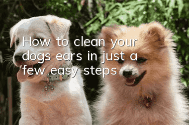 How to clean your dog’s ears in just a few easy steps