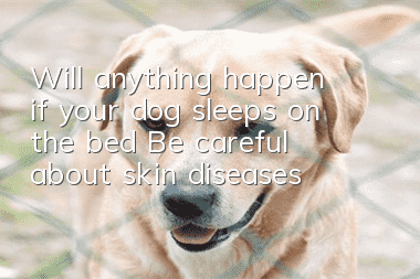 Will anything happen if your dog sleeps on the bed? Be careful about skin diseases