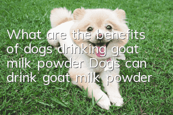 What are the benefits of dogs drinking goat milk powder? Dogs can drink goat milk powder