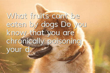 What fruits can’t be eaten by dogs? Do you know that you are chronically poisoning your dog?