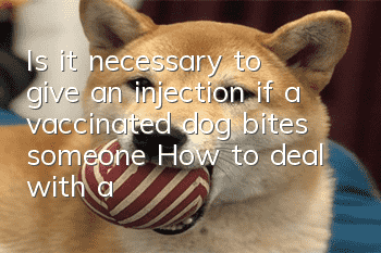 Is it necessary to give an injection if a vaccinated dog bites someone? How to deal with a dog bite in an emergency?