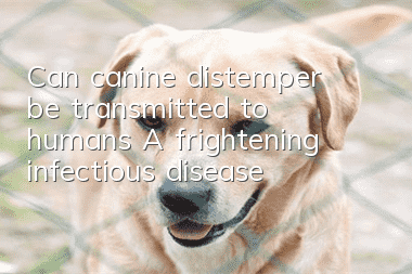 Can canine distemper be transmitted to humans? A frightening infectious disease