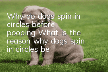 Why do dogs spin in circles before pooping? What is the reason why dogs spin in circles before pooping?