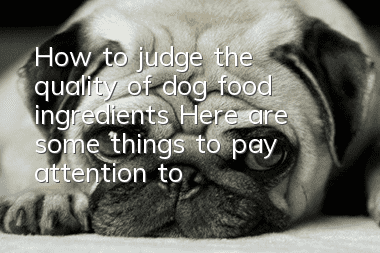 How to judge the quality of dog food ingredients? Here are some things to pay attention to