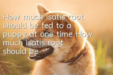 How much isatis root should be fed to a puppy at one time? How much isatis root should be fed to a puppy with a cold?