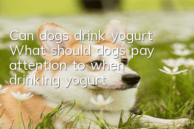 Can dogs drink yogurt? What should dogs pay attention to when drinking yogurt?