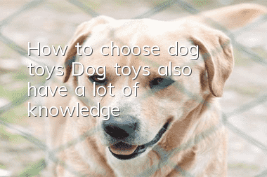 How to choose dog toys? Dog toys also have a lot of knowledge