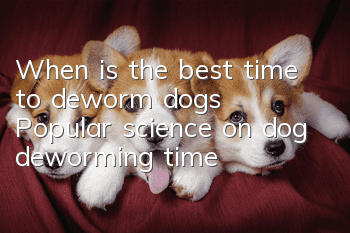 When is the best time to deworm dogs? Popular science on dog deworming time