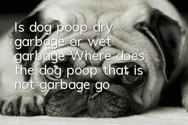 Is dog poop dry garbage or wet garbage? Where does the dog poop that is not garbage go?