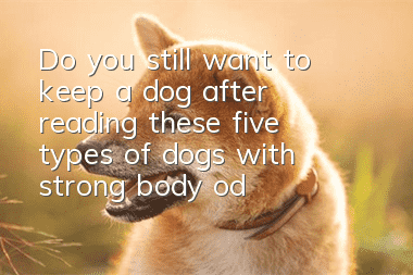 Do you still want to keep a dog after reading these five types of dogs with strong body odor?