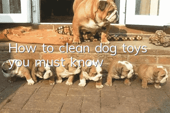 How to clean dog toys, you must know