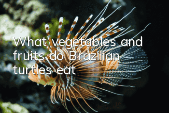 What vegetables and fruits do Brazilian turtles eat?