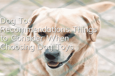 Dog Toy Recommendations Things to Consider When Choosing Dog Toys