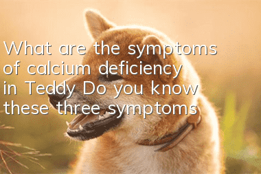 What are the symptoms of calcium deficiency in Teddy? Do you know these three symptoms?