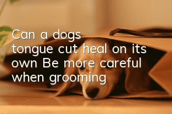Can a dog's tongue cut heal on its own? Be more careful when grooming
