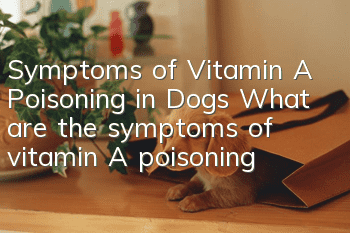 Symptoms of Vitamin A Poisoning in Dogs What are the symptoms of vitamin A poisoning?