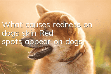 What causes redness on dogs’ skin? Red spots appear on dogs