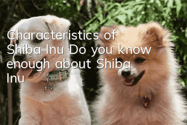 Characteristics of Shiba Inu Do you know enough about Shiba Inu?