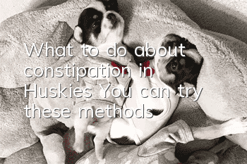 What to do about constipation in Huskies? You can try these methods