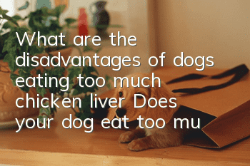 What are the disadvantages of dogs eating too much chicken liver? Does your dog eat too much chicken liver?