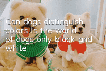 Can dogs distinguish colors? Is the world of dogs only black and white?